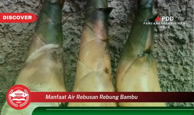 manfaat air rebusan rebung bambu