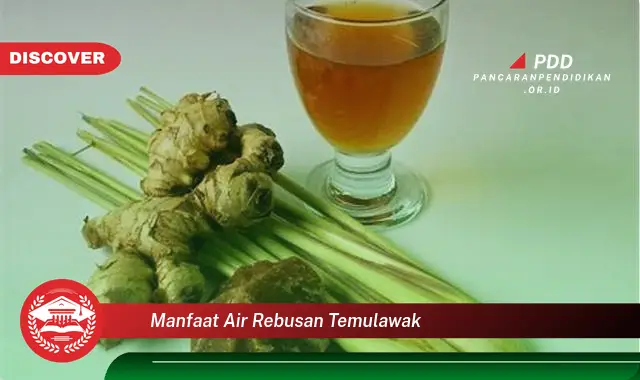 manfaat air rebusan temulawak