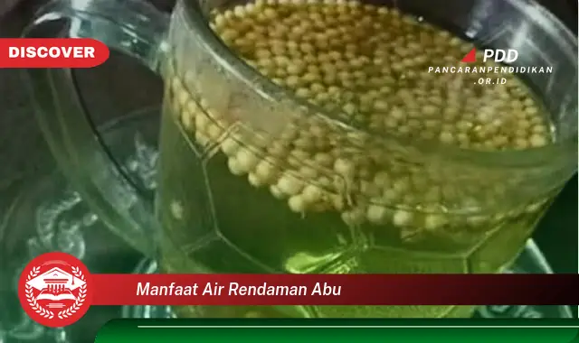 manfaat air rendaman abu