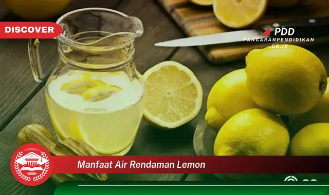 manfaat air rendaman lemon