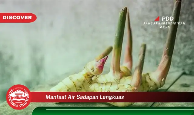 manfaat air sadapan lengkuas