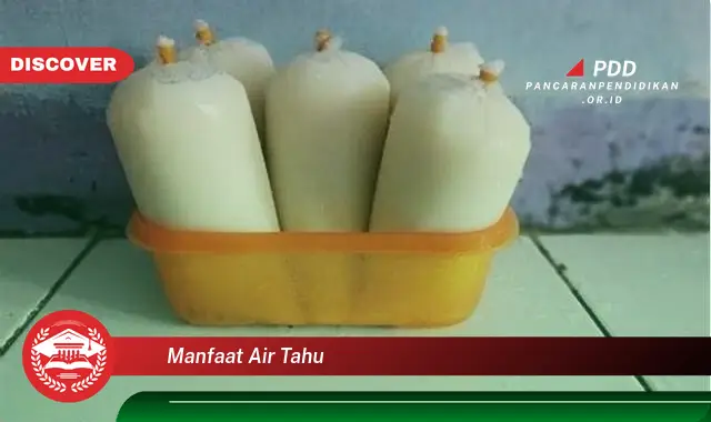 manfaat air tahu