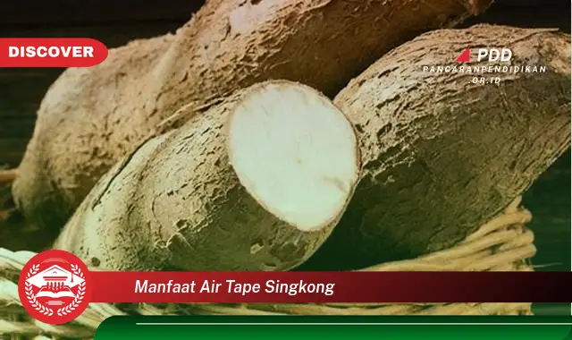 manfaat air tape singkong