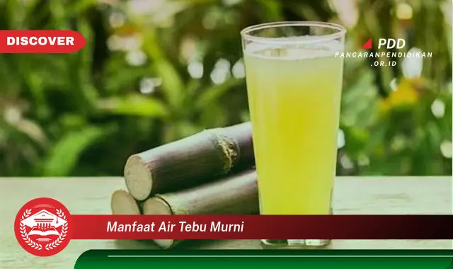 manfaat air tebu murni