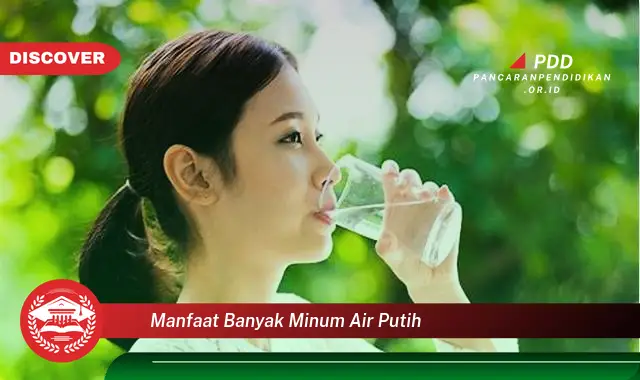 manfaat banyak minum air putih