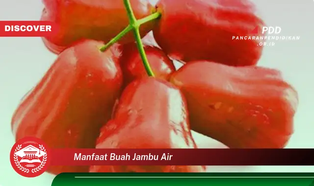 manfaat buah jambu air