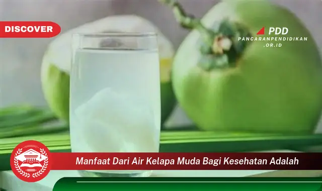 manfaat dari air kelapa muda bagi kesehatan adalah