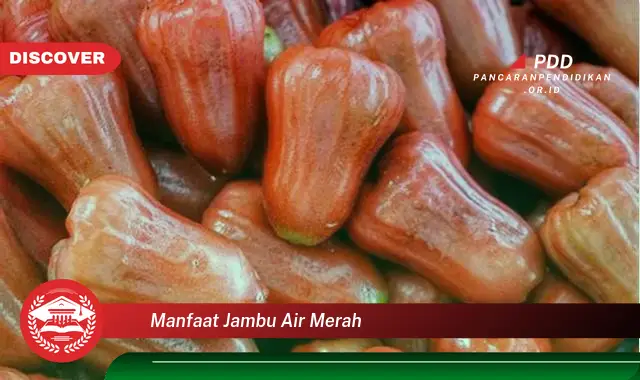 manfaat jambu air merah