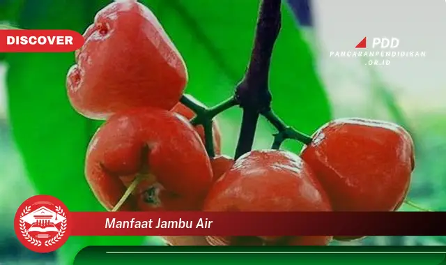 manfaat jambu air