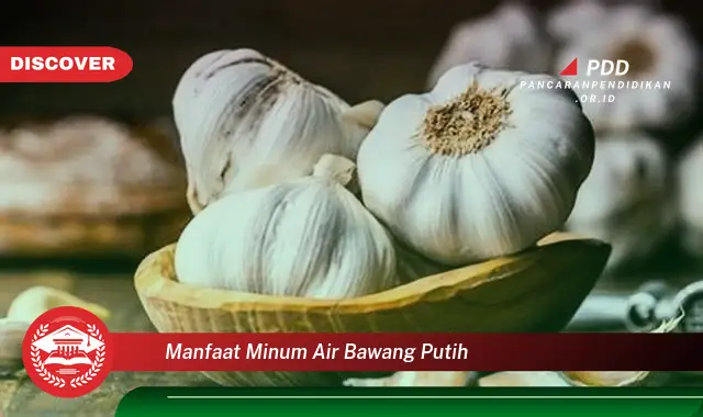 manfaat minum air bawang putih