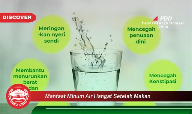 manfaat minum air hangat setelah makan