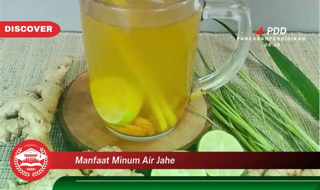 manfaat minum air jahe