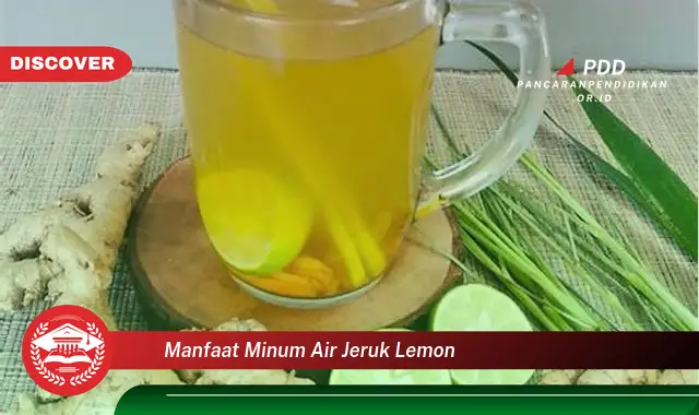 manfaat minum air jeruk lemon