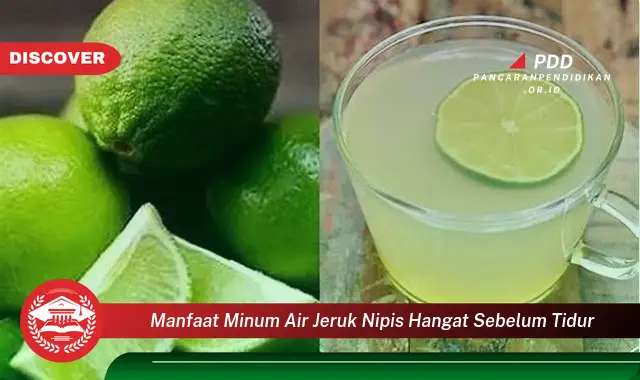 manfaat minum air jeruk nipis hangat sebelum tidur