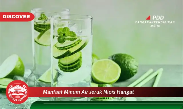 manfaat minum air jeruk nipis hangat