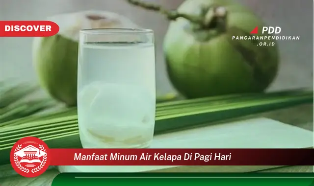 manfaat minum air kelapa di pagi hari