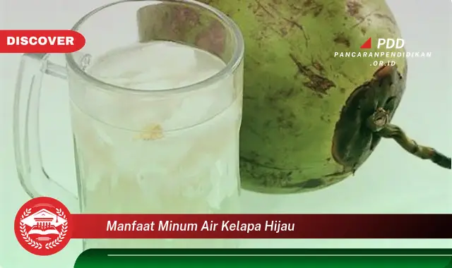 Temukan 10 Manfaat Minum Air Kelapa Hijau yang Wajib Kamu Ketahui