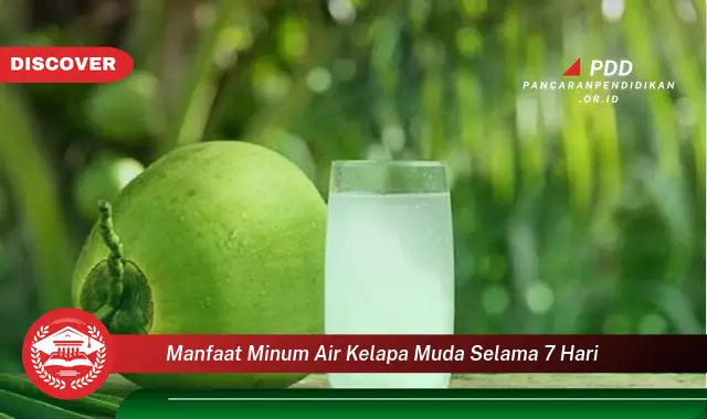 manfaat minum air kelapa muda selama 7 hari