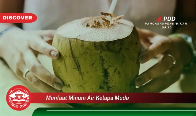 manfaat minum air kelapa muda