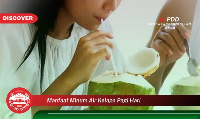 Kamu Wajib Tahu, 30 Manfaat Minum Air Kelapa Pagi Hari yang Bikin Penasaran