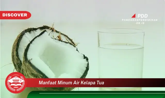 manfaat minum air kelapa tua