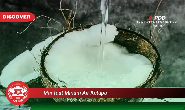 manfaat minum air kelapa