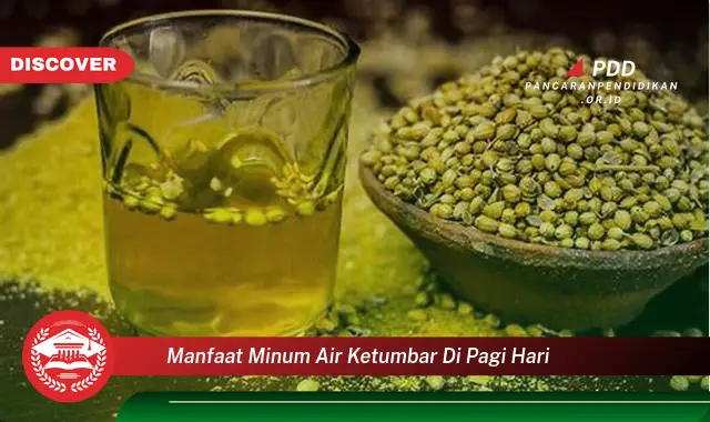 manfaat minum air ketumbar di pagi hari