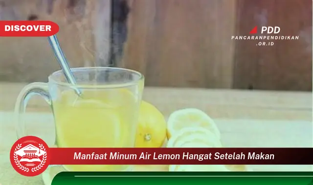 manfaat minum air lemon hangat setelah makan