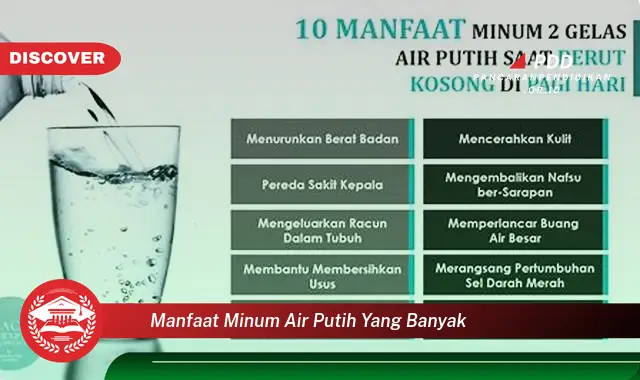 manfaat minum air putih yang banyak