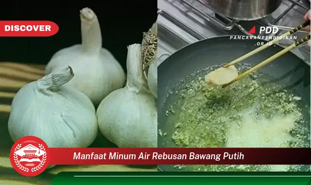 manfaat minum air rebusan bawang putih