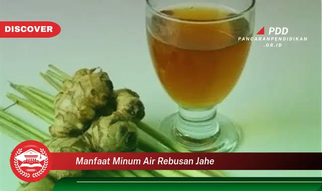 manfaat minum air rebusan jahe