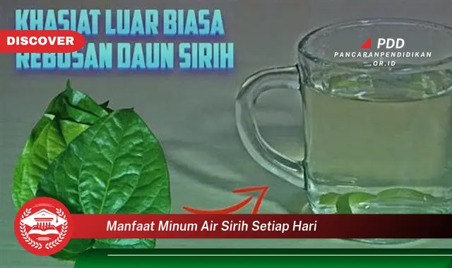 manfaat minum air sirih setiap hari