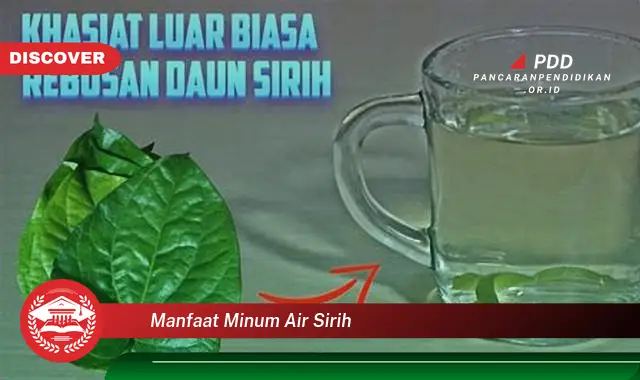 manfaat minum air sirih