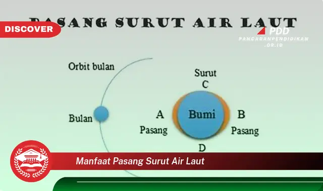 manfaat pasang surut air laut