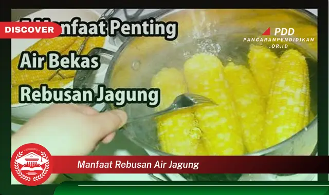 manfaat rebusan air jagung