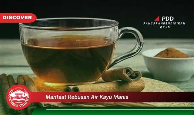 manfaat rebusan air kayu manis