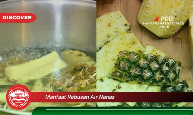 manfaat rebusan air nanas