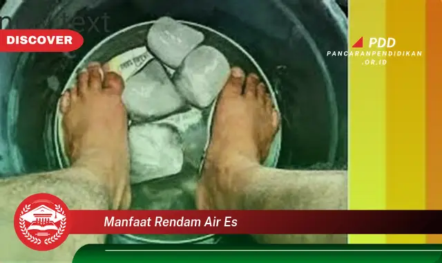 manfaat rendam air es