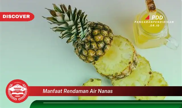 manfaat rendaman air nanas