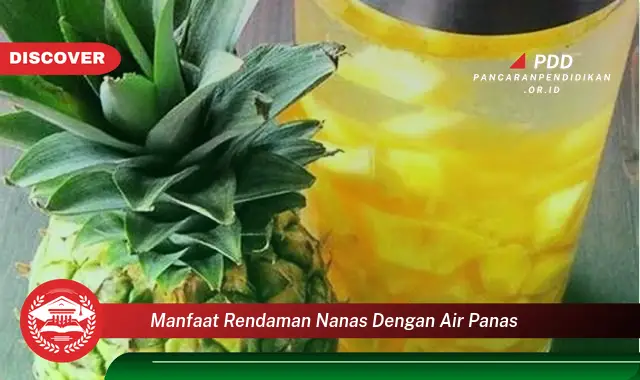 manfaat rendaman nanas dengan air panas