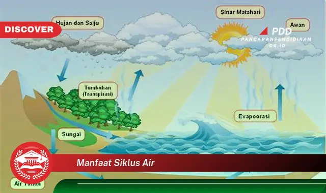 manfaat siklus air