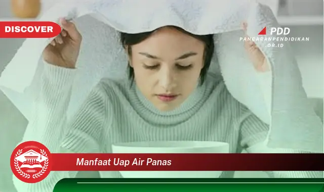 manfaat uap air panas