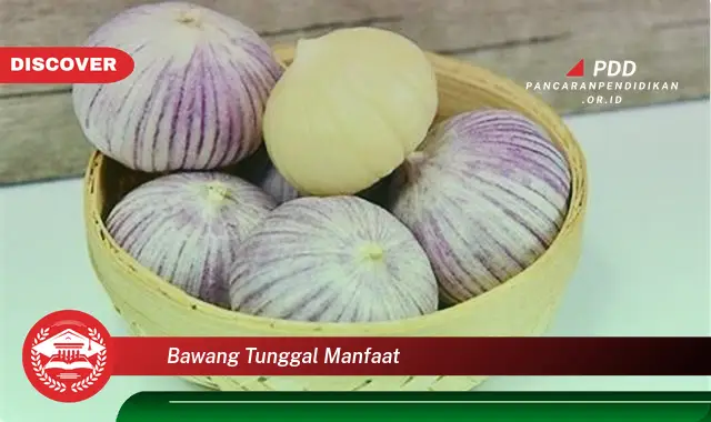 bawang tunggal manfaat