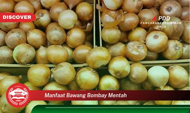 manfaat bawang bombay mentah