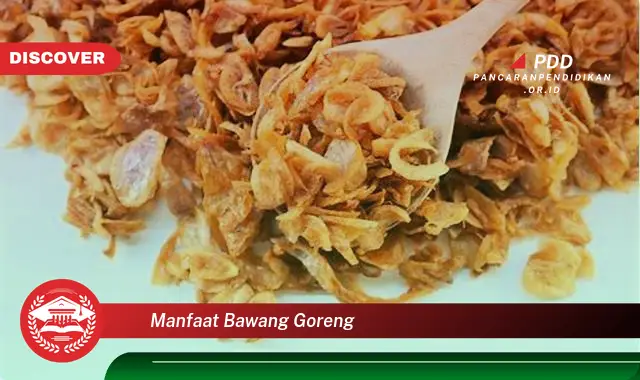 manfaat bawang goreng