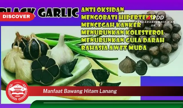 manfaat bawang hitam lanang