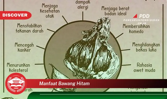 manfaat bawang hitam
