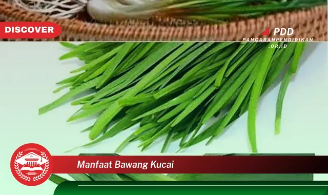 manfaat bawang kucai