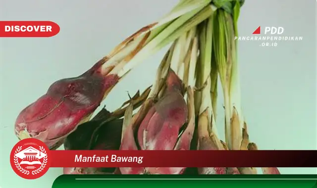 manfaat bawang