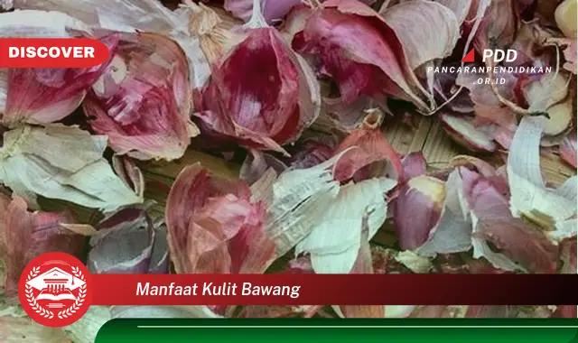 manfaat kulit bawang